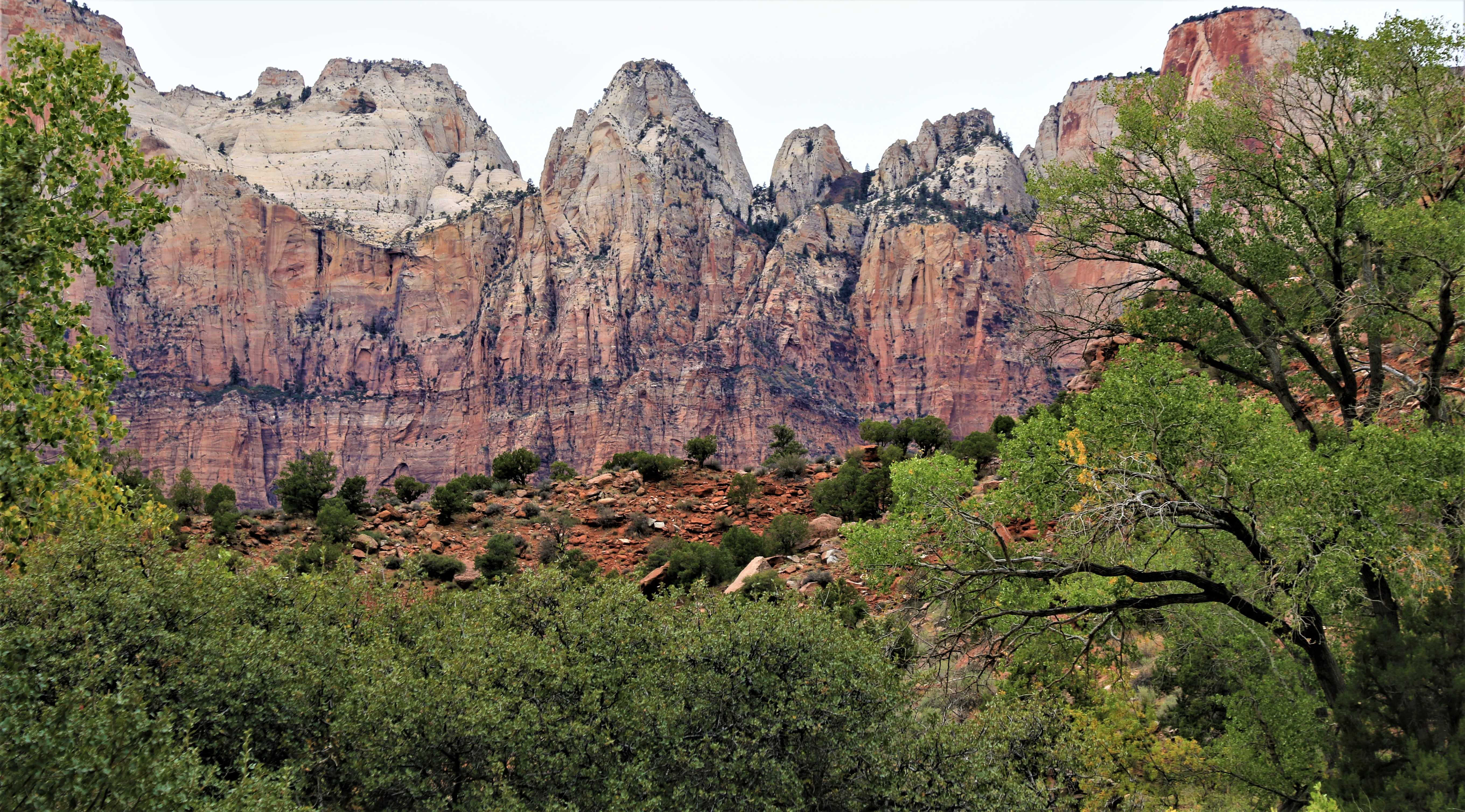 Zion NP
